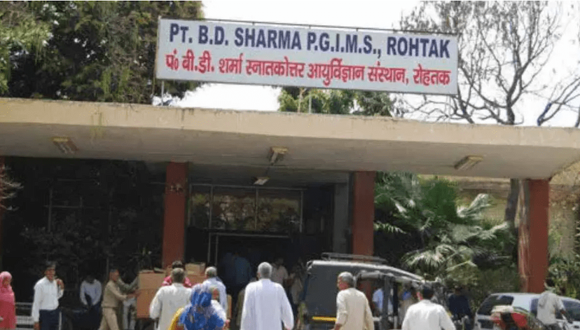 pgi rohtak