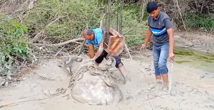 डाकन कोटड़ा के बोर का नाका तालाब में समाहित वेस्ट में फंसी भैंस को दूसरी बार निकालने का प्रयास करते ग्रामीण।