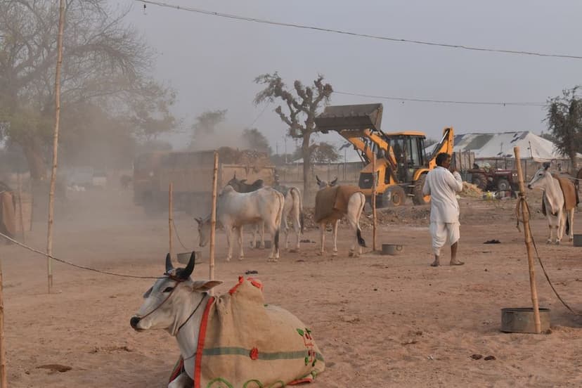 Now the animals do not have to wander for drinking water