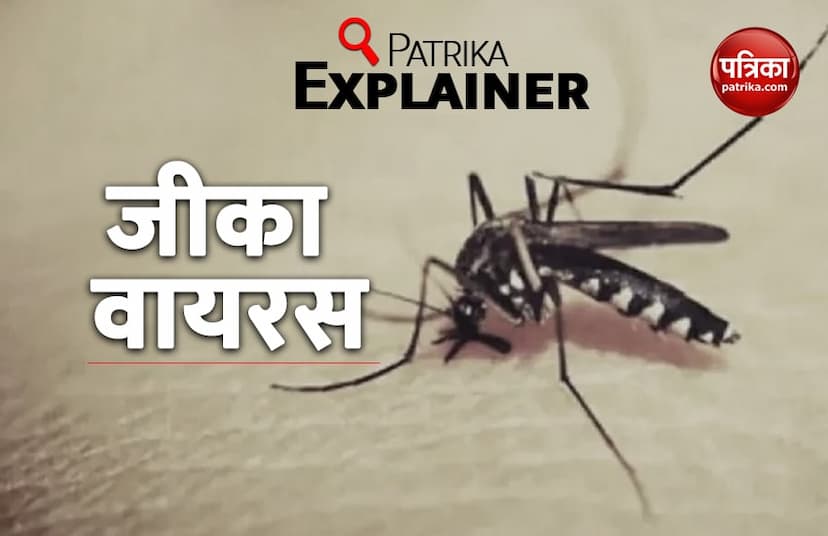 Patrika Explainer: What is Zika Virus, it's symptoms, treatment and precautions