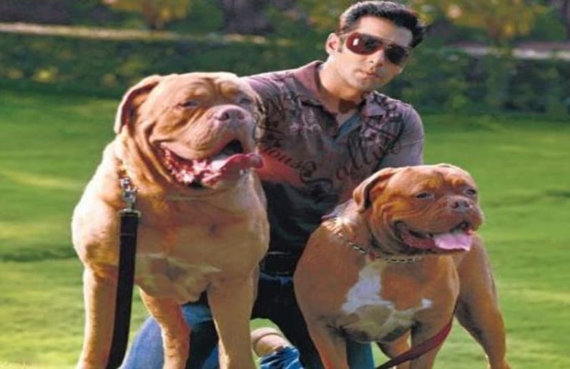 Salman Khan with his pet dogs (file photo)