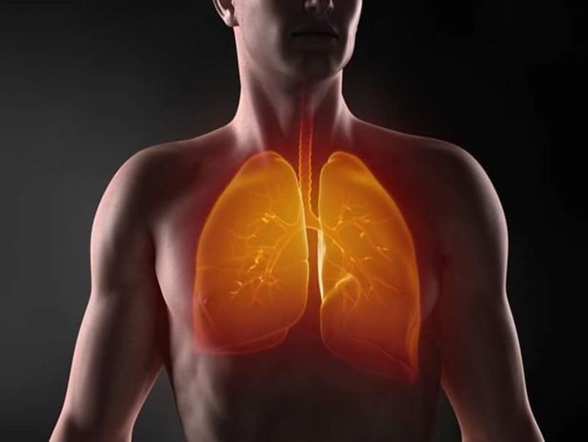 easy home remedies for the strength of the lungs