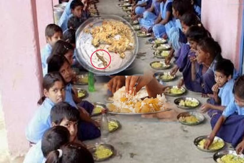 dead lizard found in mid-day meal 80 students fell ill