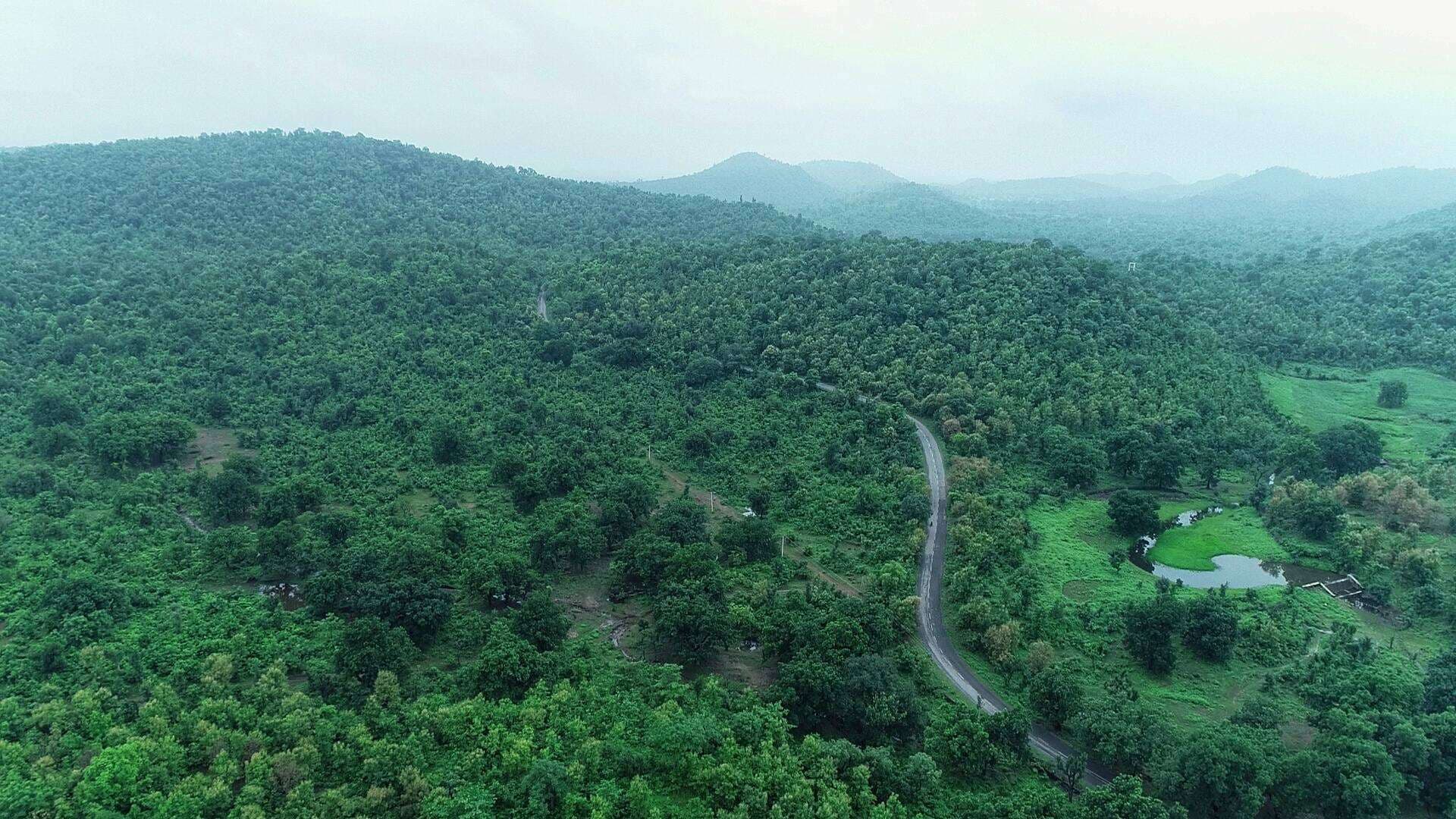  हरियाली में प्रदेश में दूसरे पायदान पर रहने वाले प्रतापगढ़ जिले के जंगलों की देखे तस्वीरें...