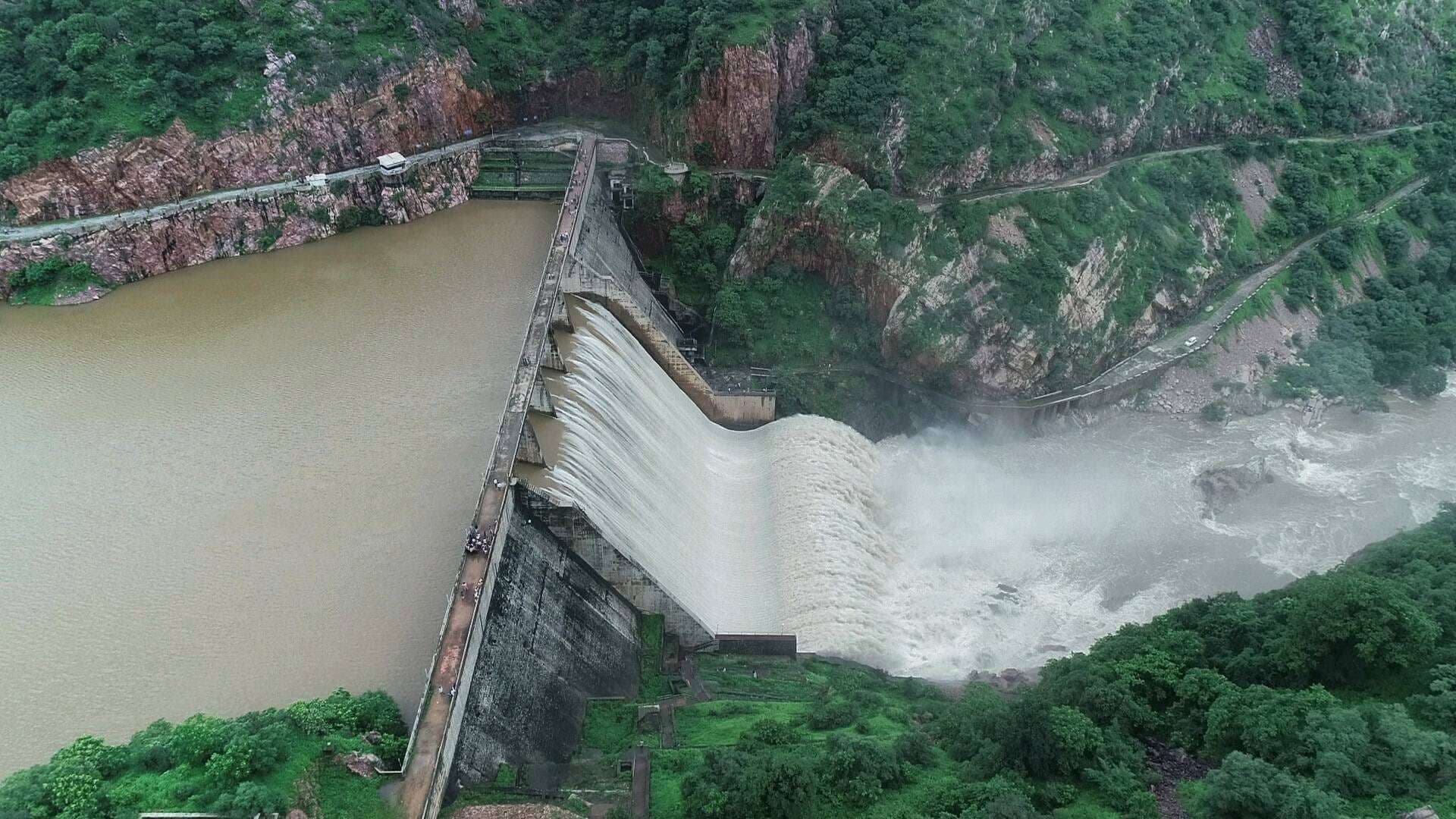  हरियाली में प्रदेश में दूसरे पायदान पर रहने वाले प्रतापगढ़ जिले के जंगलों की देखे तस्वीरें...