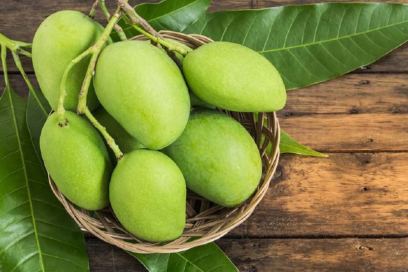Raw Mango Benefits: गर्मियों में कच्चे आम के सेवन करने से आपके सेहत को मिलते हैं ये जबरदस्त फायदे