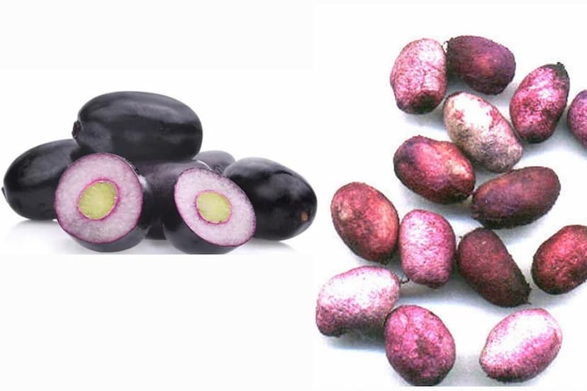 jamun_seeds_benefits_in_diabetes_high_bp_cholesterol_weight_loss.jpg