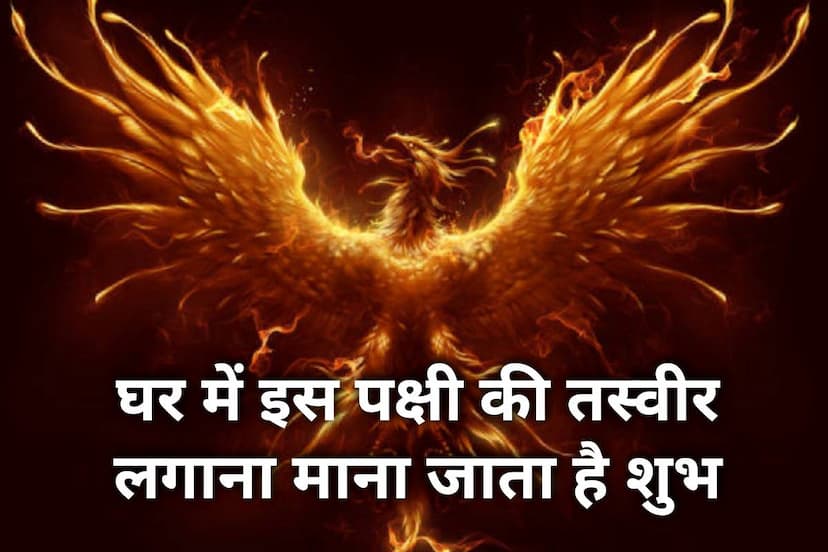 phoenix vastu, feng shui red phoenix bird painting, phoenix bird photo, phoenix bird images vastu, phoenix pakshi ki photo, vastu tips to remove negative energy, vastu tips for success in life, vastu tips for growth in career, latest religious news, 