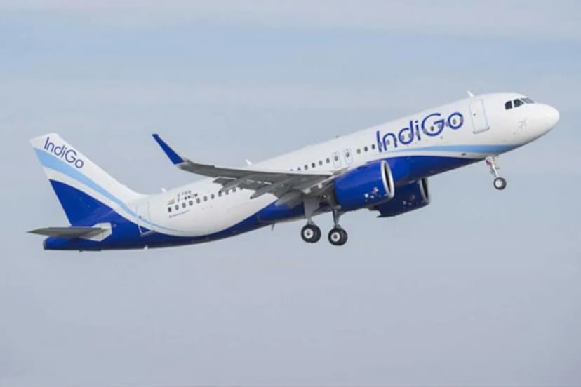 IndiGo passengers