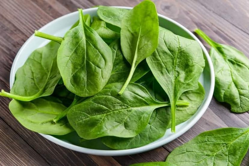 Spinach Side Effects: अधिक मात्रा में पालक का सेवन करना सेहत को पहुंचा सकता है नुकसान, जानें इसके साइड इफेक्ट्स