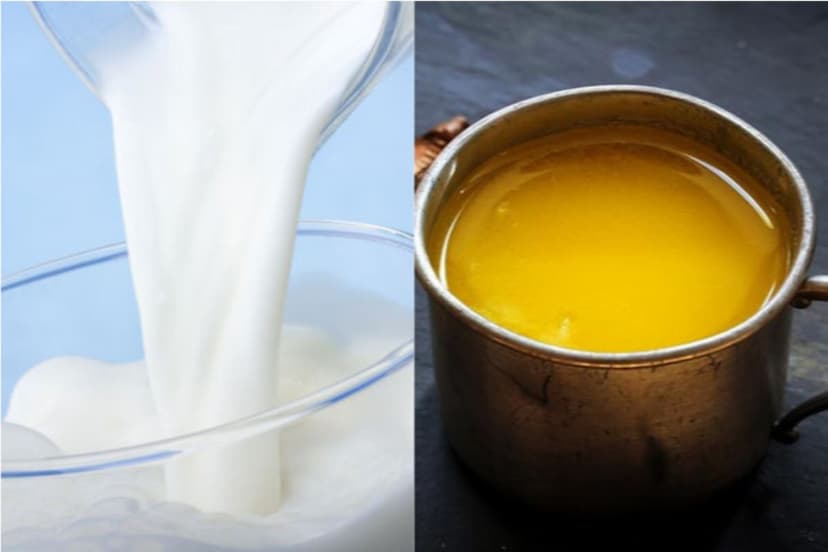 Milk With Ghee Benefits: दूध में घी मिलाकर पीने के है अनगिनत फायदे, पाचन शक्ति बढ़ाने में होता है फायदेमंद