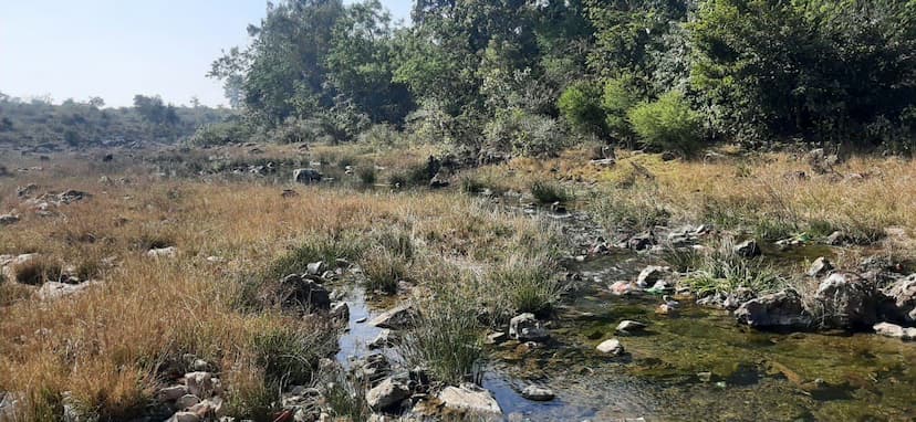 Hiran, Pariyat and Gaur river