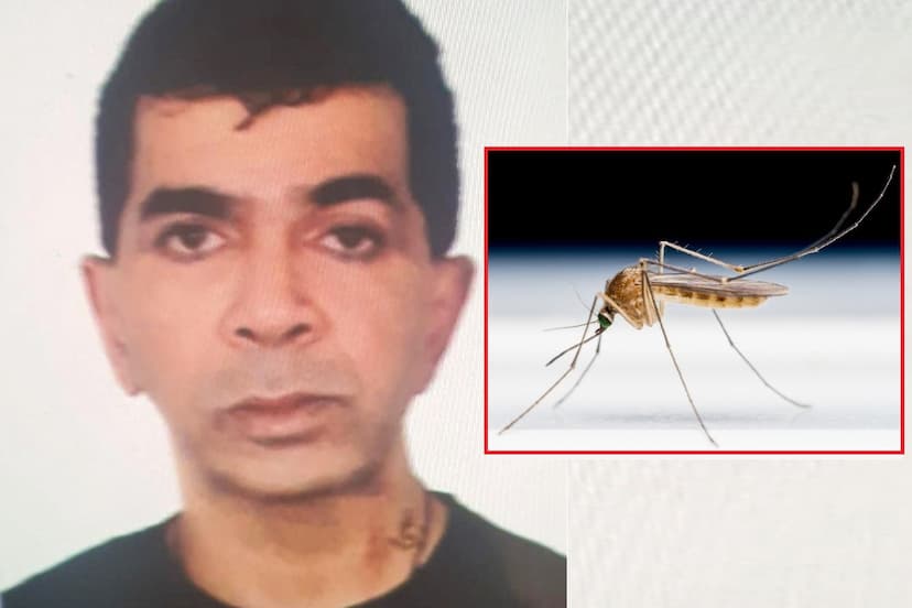 Ejaz Lakdawala Mosquito in Taloja Central Jail