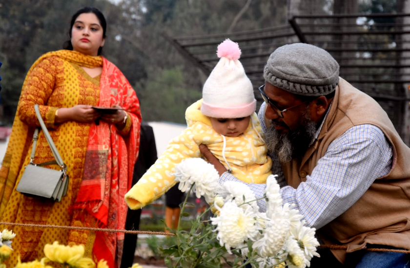 PHOTO GALLERY : गुलाब उद्यान में गुलदाउली प्रदर्शनी का आगाज, हजारों प्रजातियों के रंग-बिरंगे फूल हैं यहां