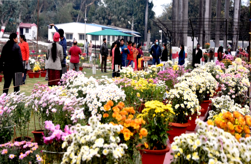 PHOTO GALLERY : गुलाब उद्यान में गुलदाउली प्रदर्शनी का आगाज, हजारों प्रजातियों के रंग-बिरंगे फूल हैं यहां