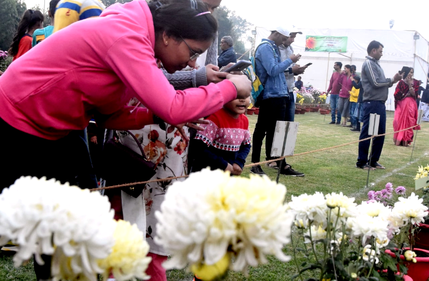 PHOTO GALLERY : गुलाब उद्यान में गुलदाउली प्रदर्शनी का आगाज, हजारों प्रजातियों के रंग-बिरंगे फूल हैं यहां