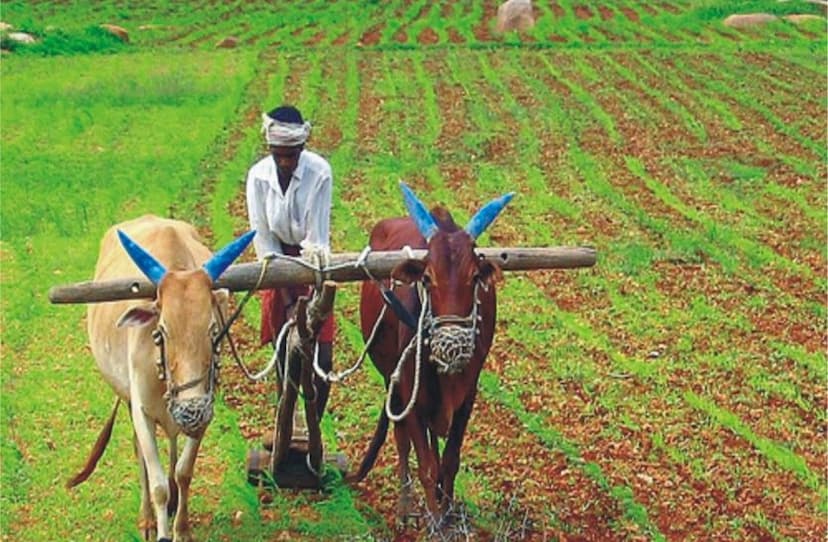 बकाया राशि जमा कराने पर किसानों को मिलेगी छूट