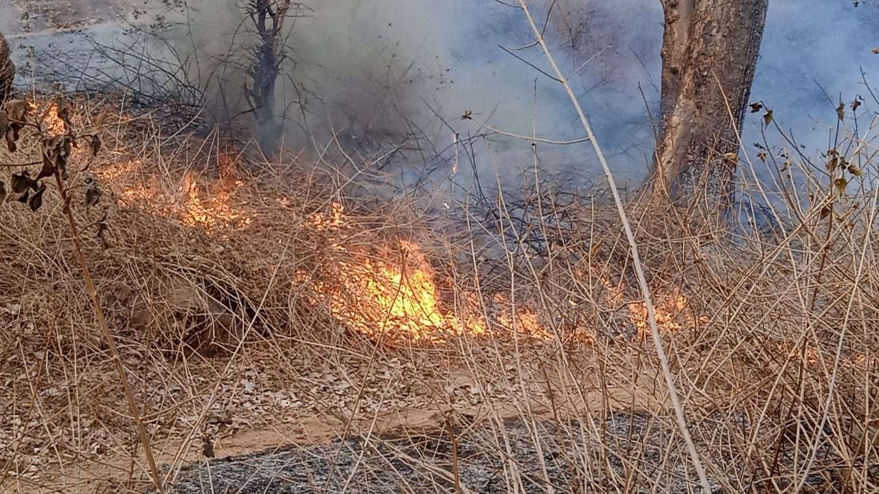 बांसवाड़ा. शुक्रवार दोपहर बांसवाड़ा-प्रतापगढ हाइवे के हिलेज वन क्षेत्र में आग लग गई। करीब दो किमी तक आग की लपटें उठती देखी गई। इससे कई क्षेत्र में पेड़ों एवं जानवरों के नुकसान की आशंका जताई जा रही है।