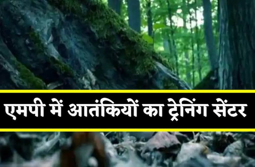 राजधानी के पास के जंगलों में होती थी आतंकियों की ट्रेनिंग, सिखाते थे बंदूक चलाना