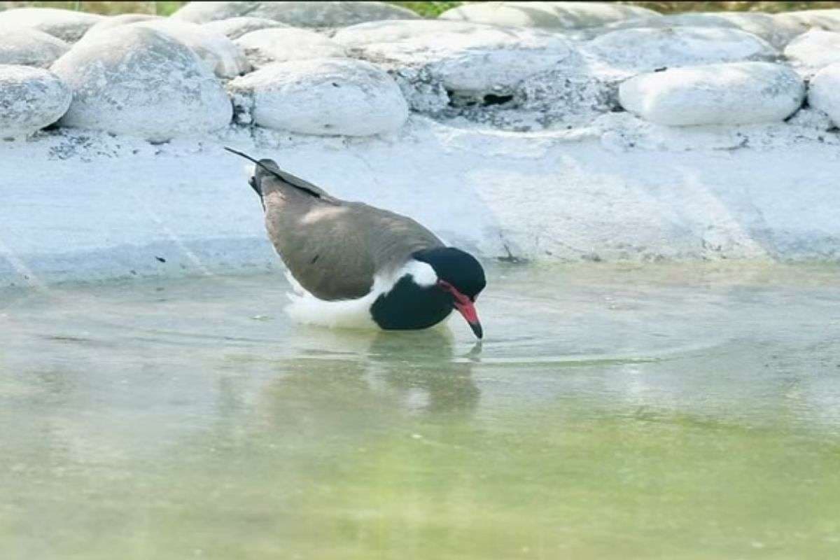 Weather very hot rain alert issued in UP