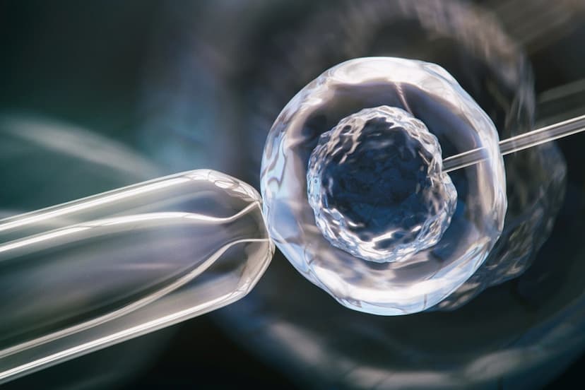 synthetic-human-embryo.jpg