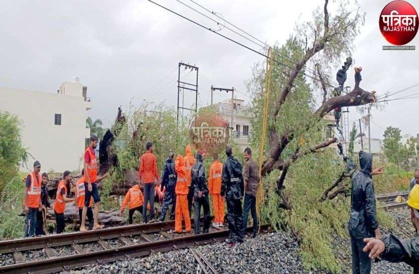 राजस्थान में बिपरजॉय से तबाही का मंजर, देखें ये तस्वीरें...