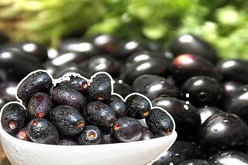 jamun-in-summer.jpg