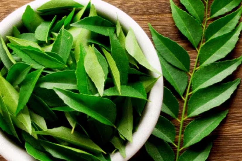 curry-leaves-benefits.jpg