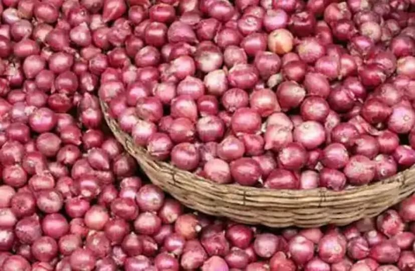 Onion Price  