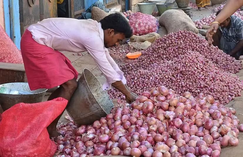 Vegetable Price Hike : प्याज का बढ़ गया भाव.. इन सब्जियों के घटे दाम, यहां चेक करें मार्केट का ताजा रेट