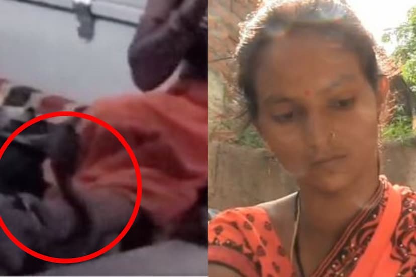 king Cobra snake wrapped around woman leg 3 hours video viral Mahoba in UP