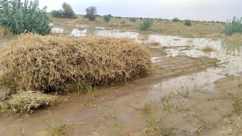 किसानों को रुला गई बेमौसम की बारिश, खेतों में भरा पानी