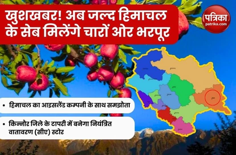 अब ढेरों सेब और वो भी ताजा...। खा सकेंगे रोजाना