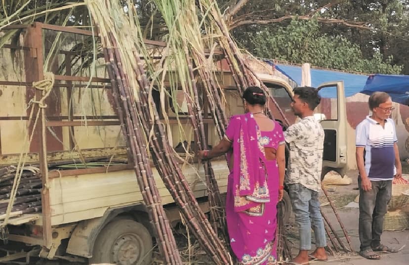 देेवउठनी एकादशी: घर-घर गन्ने का मंडप बनेगा,बजेंगी शहनाईयां, लोगो में काफी उत्साह