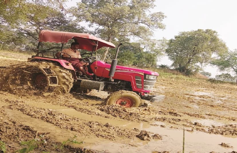 Agriculture: धान कटाई के साथ अब रबी फसल की तैयारी में जुटे किसान