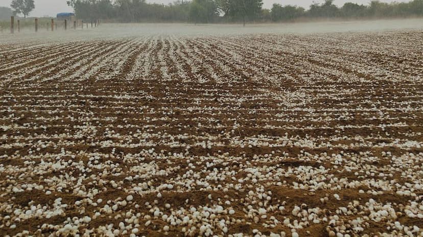 weather update rain and hailstone in rajasthan imd alert weather forecast