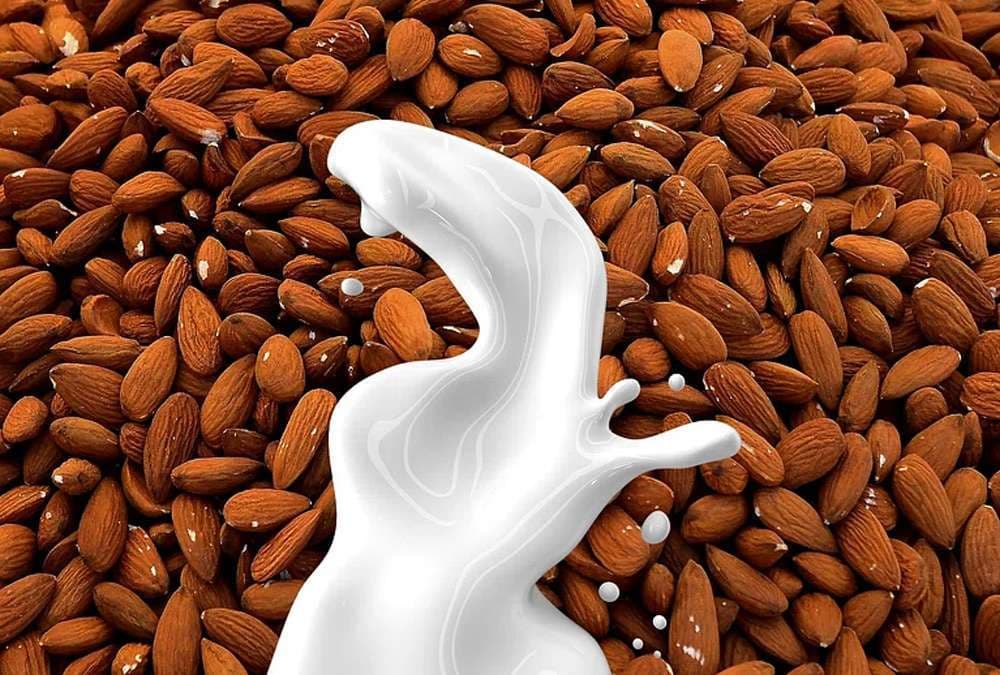 almond-milk-for-bones.jpg