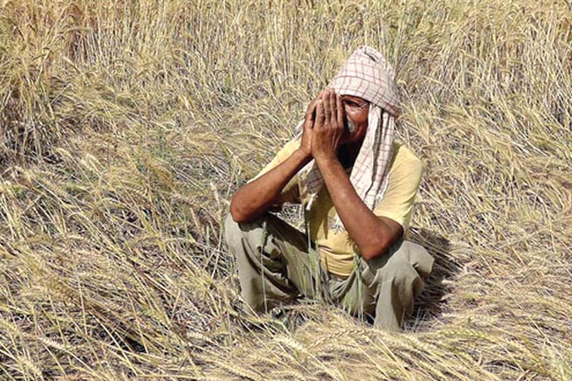 debt farmers in jhansi