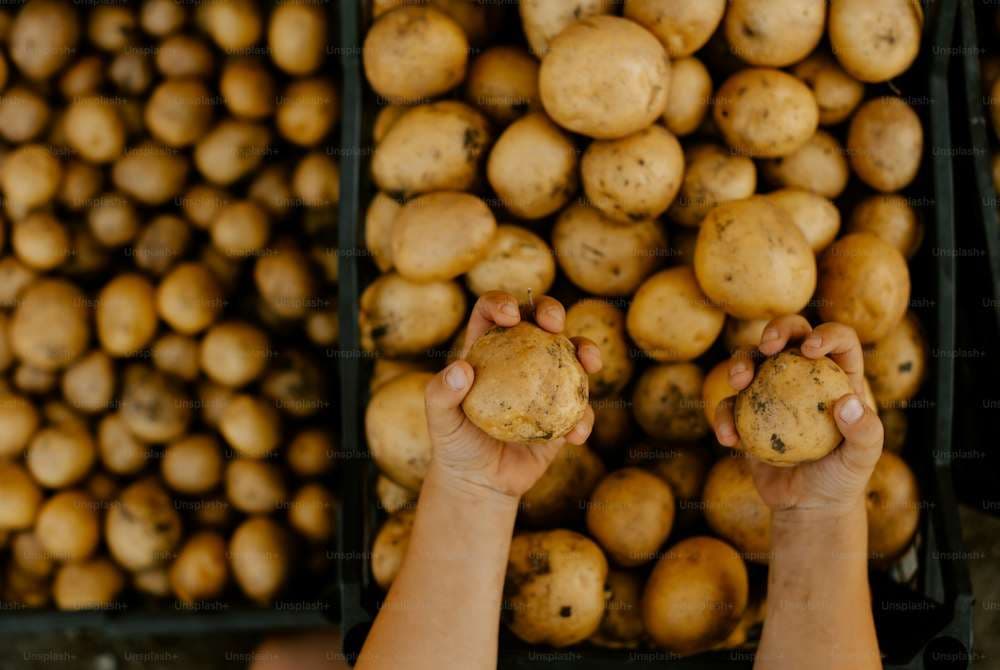 क्या आप जानते हैं आलू भी बालों की सेहत को सुधारता है