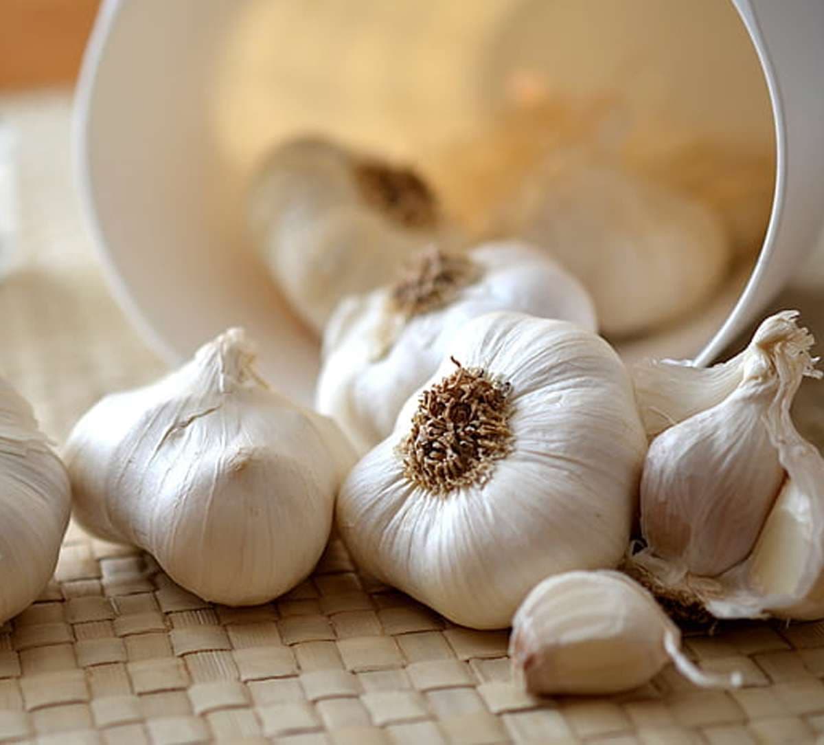 garlic.jpg