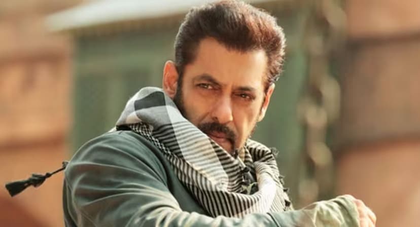 salman_khan_tiger_3_film.jpg