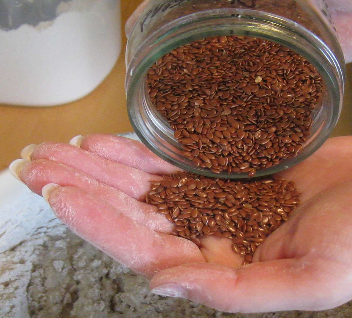 flax-seeds-digestive-system