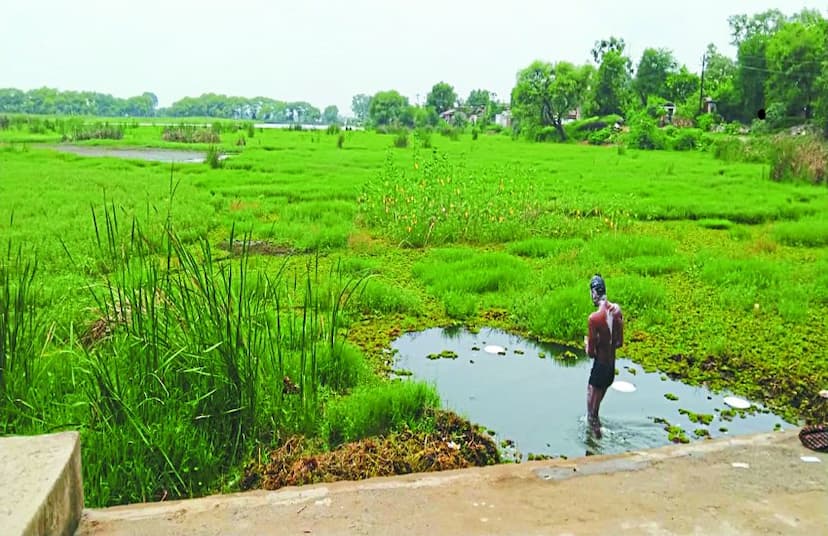 सफाई के अभाव में जलकुंभी से अटा पड़ा लवन का ऐतिहासिक बूढ़ा तालाब