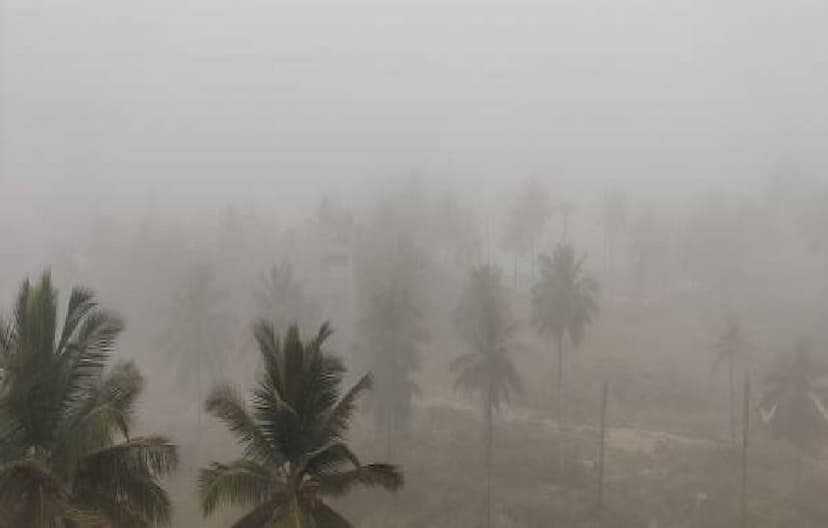 mp_weather_prdiction_orange_alert_fog_heavy_rain_hailstorm_in_many_districts_mp.jpg