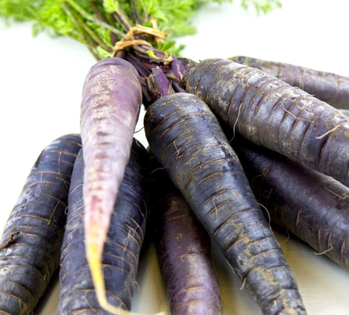 black-carrot-benefits.jpg