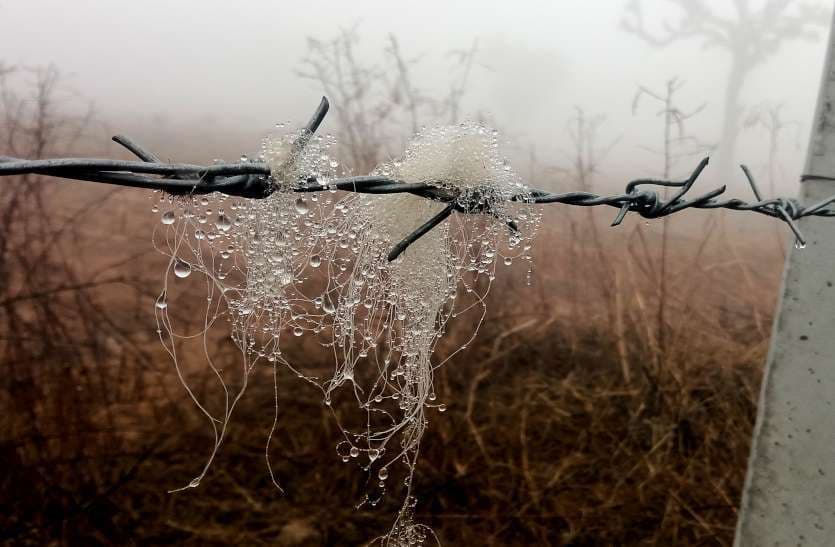 rajasthan_weather_news.jpg