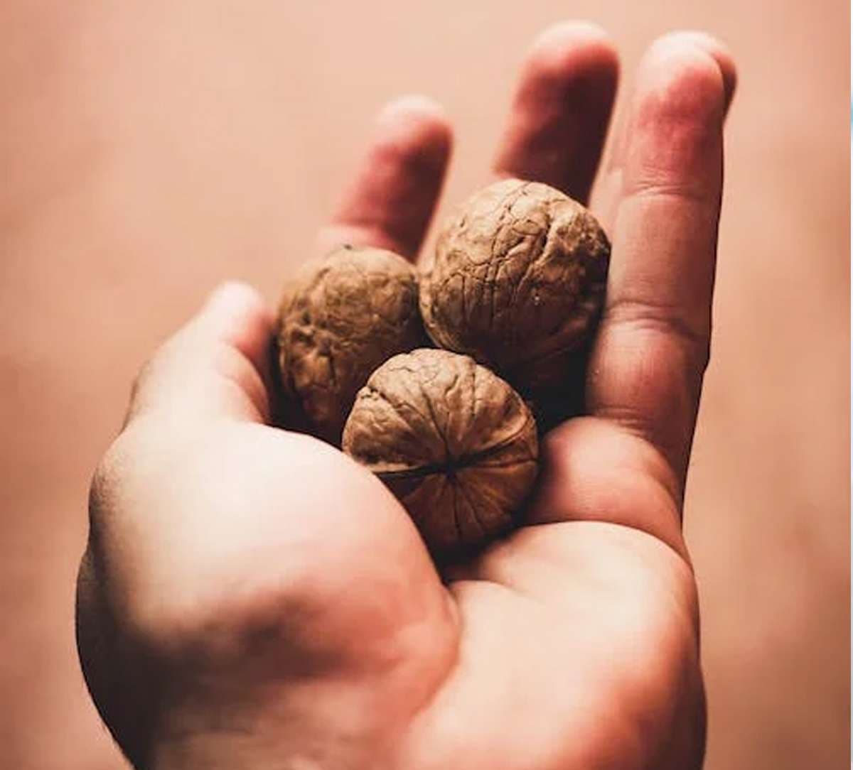 walnuts-for-women.jpg