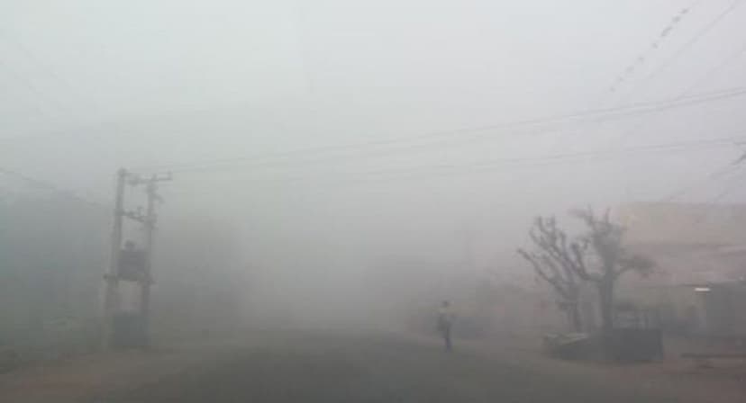 Fog Becomes Challenge For Farmers In Kota