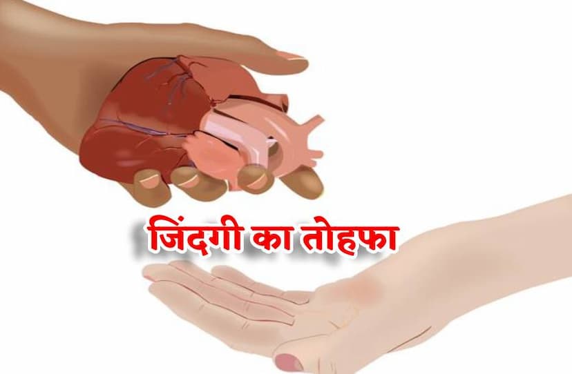 organ_donation_need_imdieately_kidney_liver_eye_body_information_awareness_shocking_facts_save_life_gift_of_life_in_mp.jpg