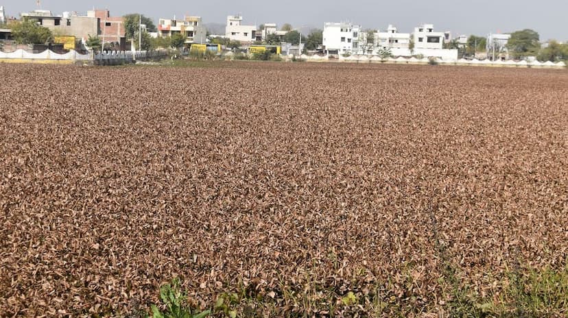 कभी होता था सुंदर तालाब अब हो गया इसका कब्जा...देखें वीडियो